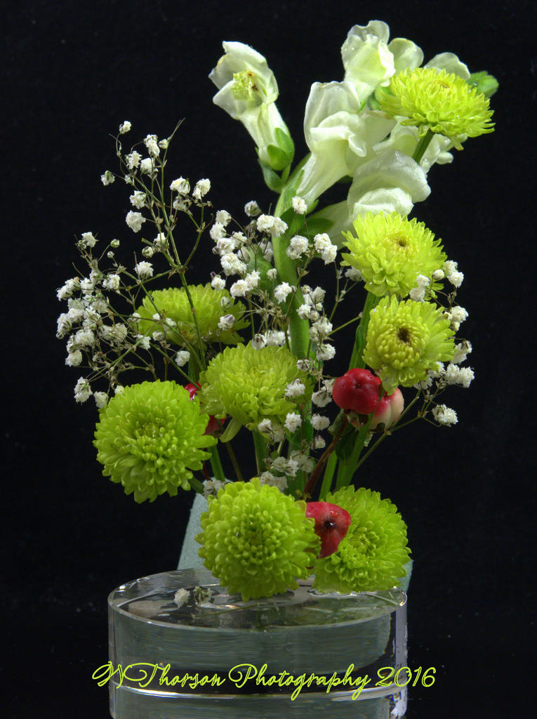 White and Green Flowers 12-9-2016.jpg