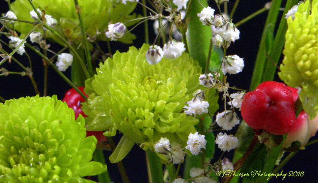 White and Green Flowers #2 12-9-2016.jpg