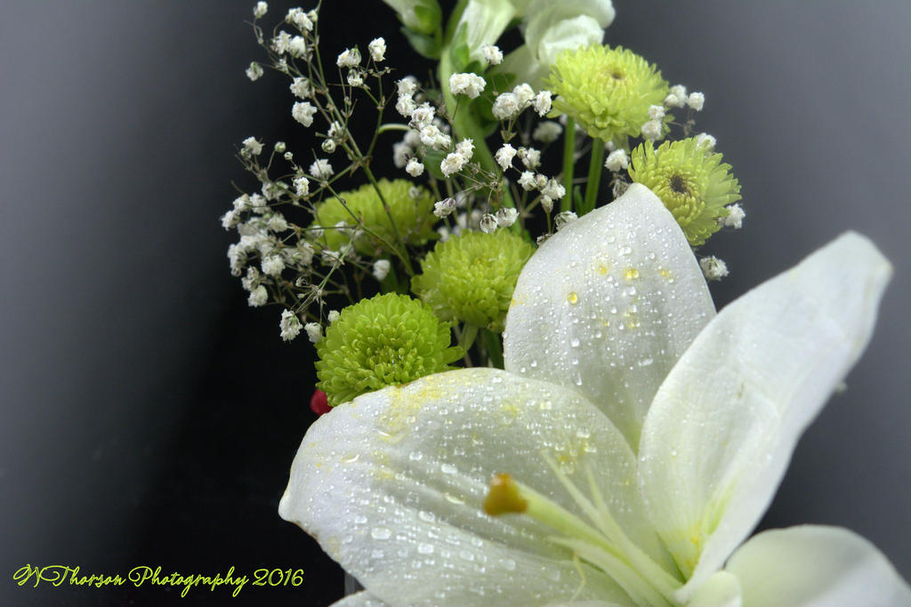 White and Green Flowers with Lily #2 12-9-2016.jpg