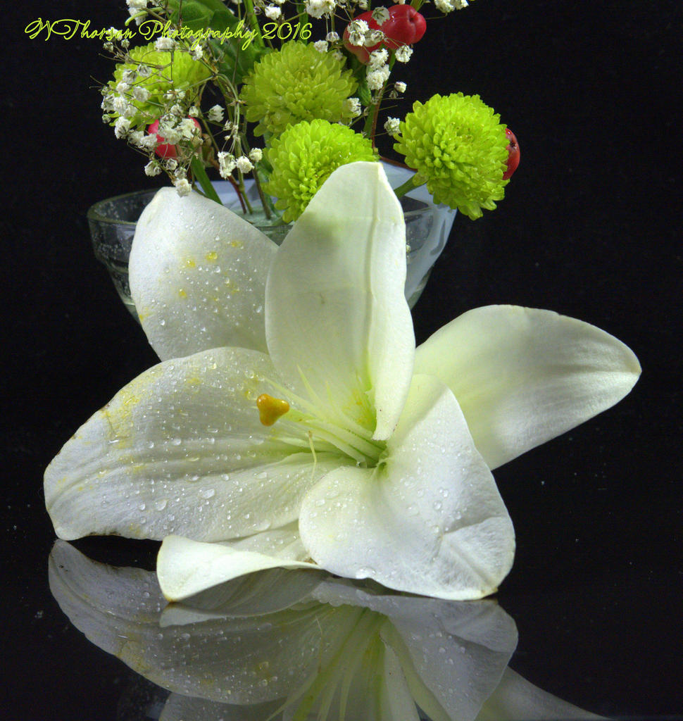 White and Green Flowers with Lily #4 12-9-2016.jpg