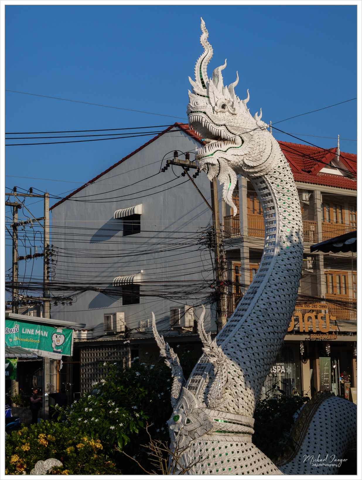 white-dragon-1.jpg