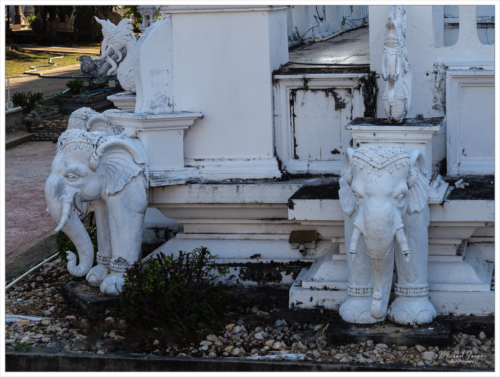 white-elephants-1.jpg