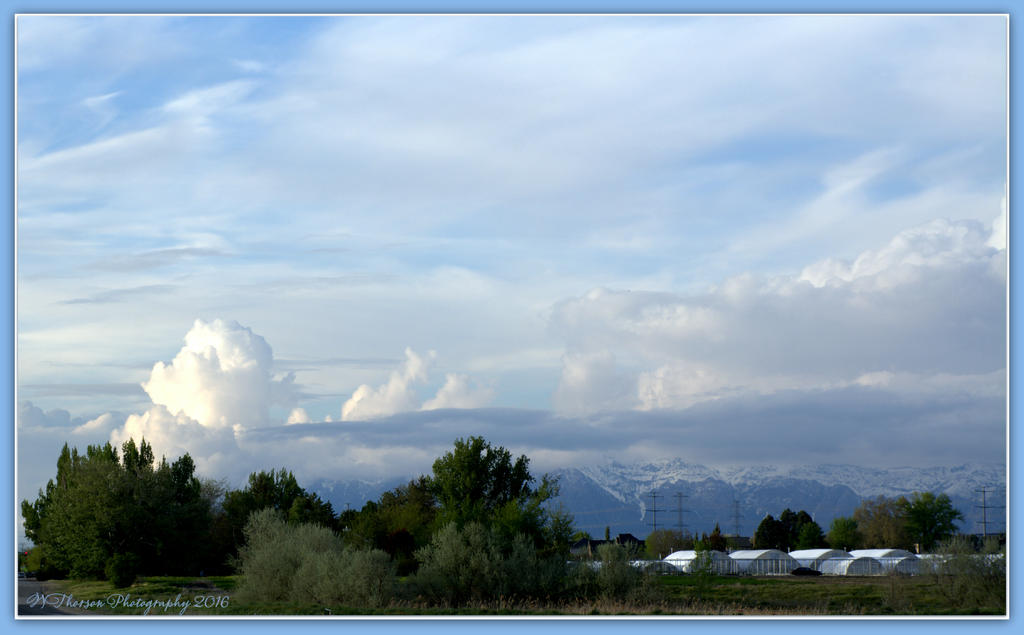 White Greenhouses  4-29-2016.jpg