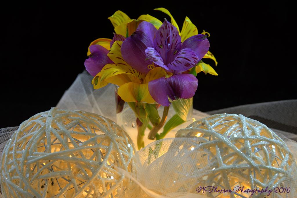 White Lace with Cord Spheres and Purple and Yellow Flowers 11-4-2016.jpg