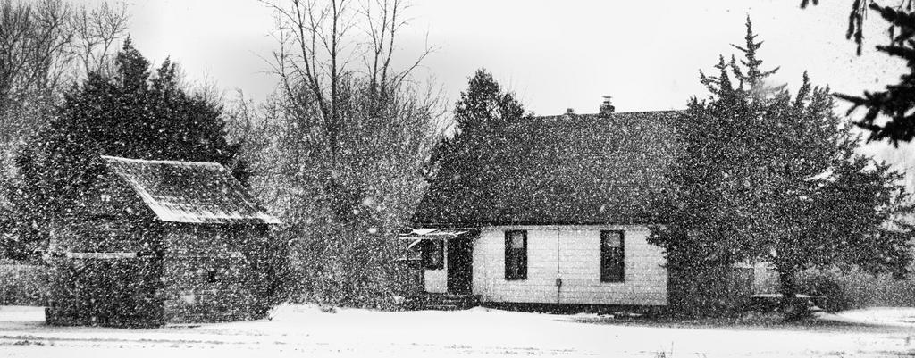 White out2100.jpg