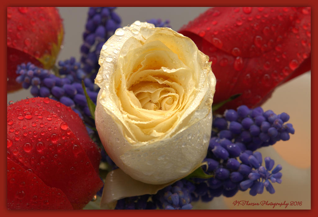 White Rose Arrangement Close Up 4-13-2016.jpg