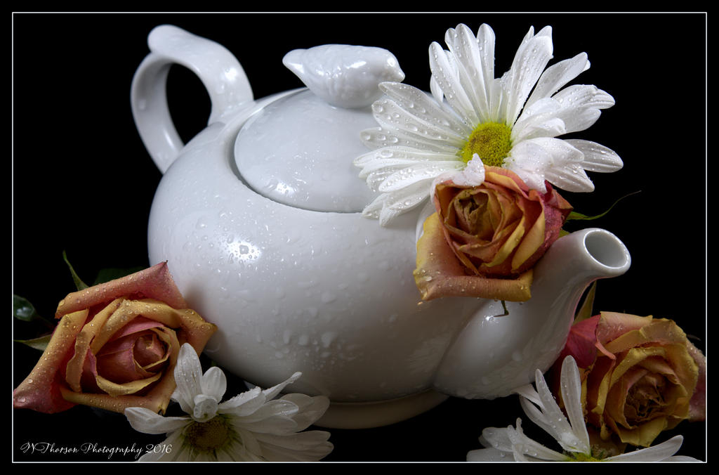 White Tea Pot with Dasies and Roses Close Up #2 5-14-2016.jpg