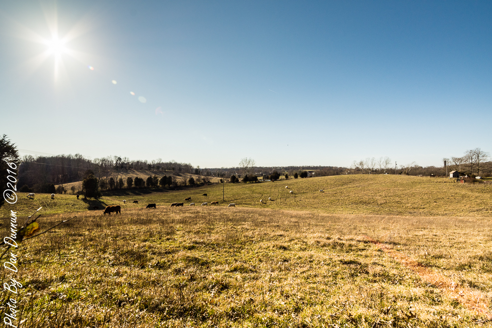 Wide Angle Test-2948.JPG