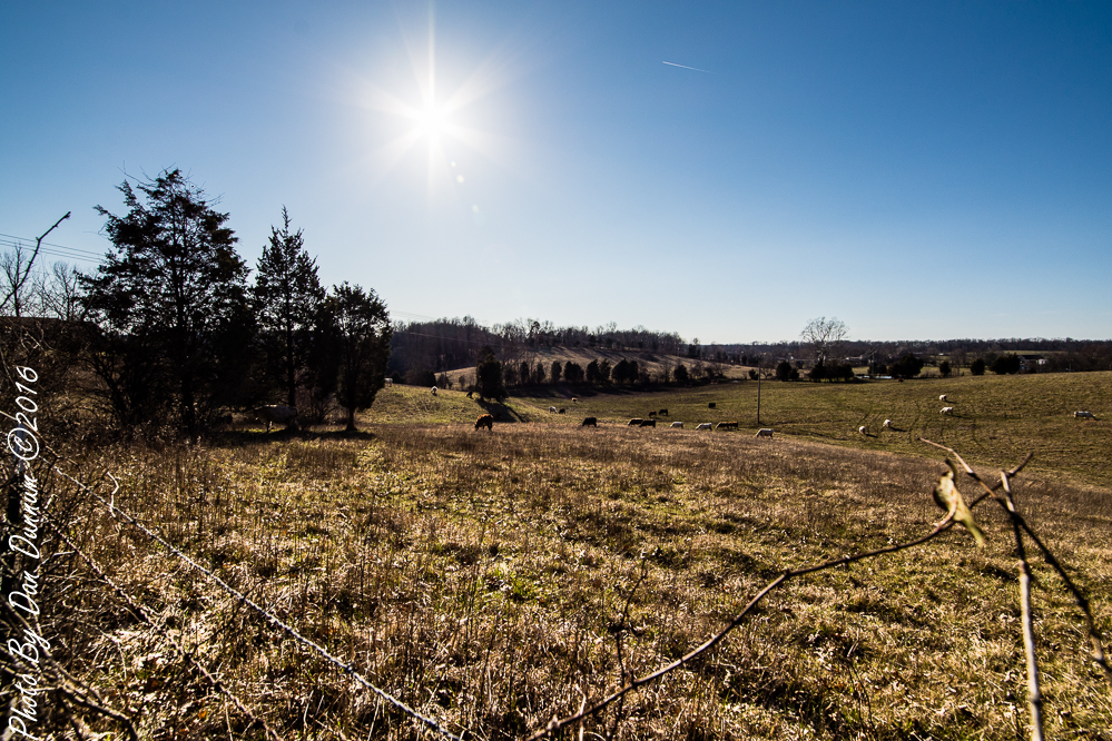 Wide Angle Test-2949.JPG