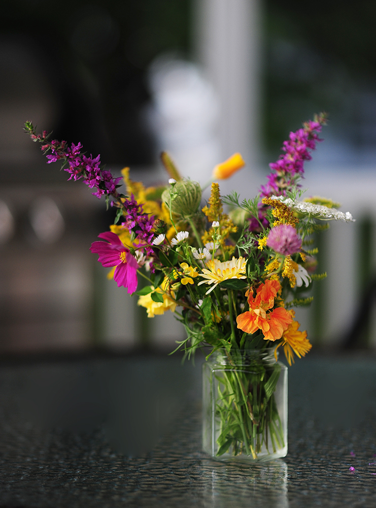 wild flowers aug20th.jpg