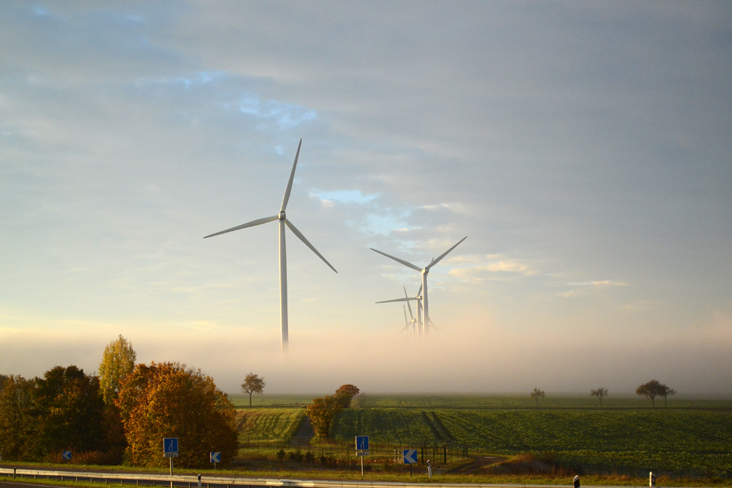 Windfarm2.jpg