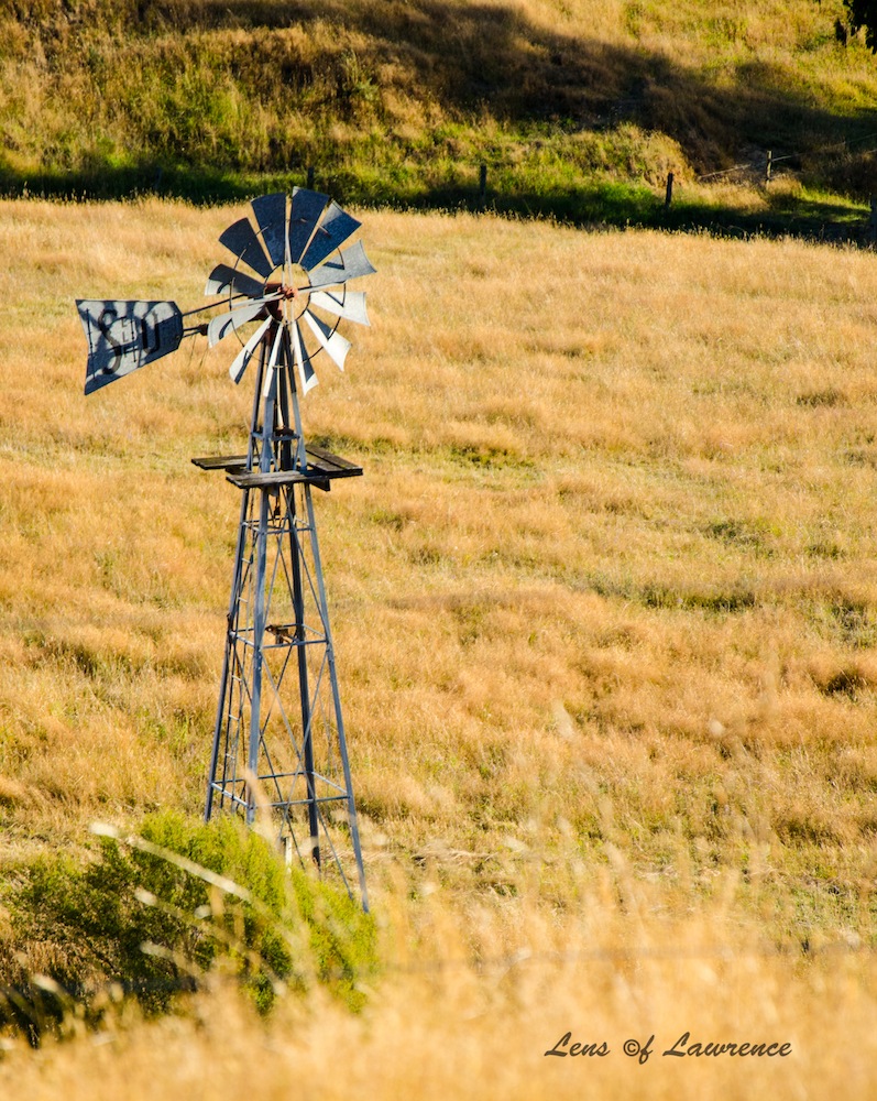 Windmill LOL.jpg