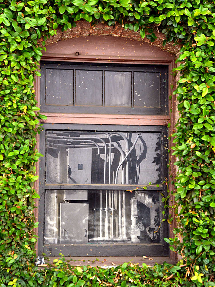 Window.jpg