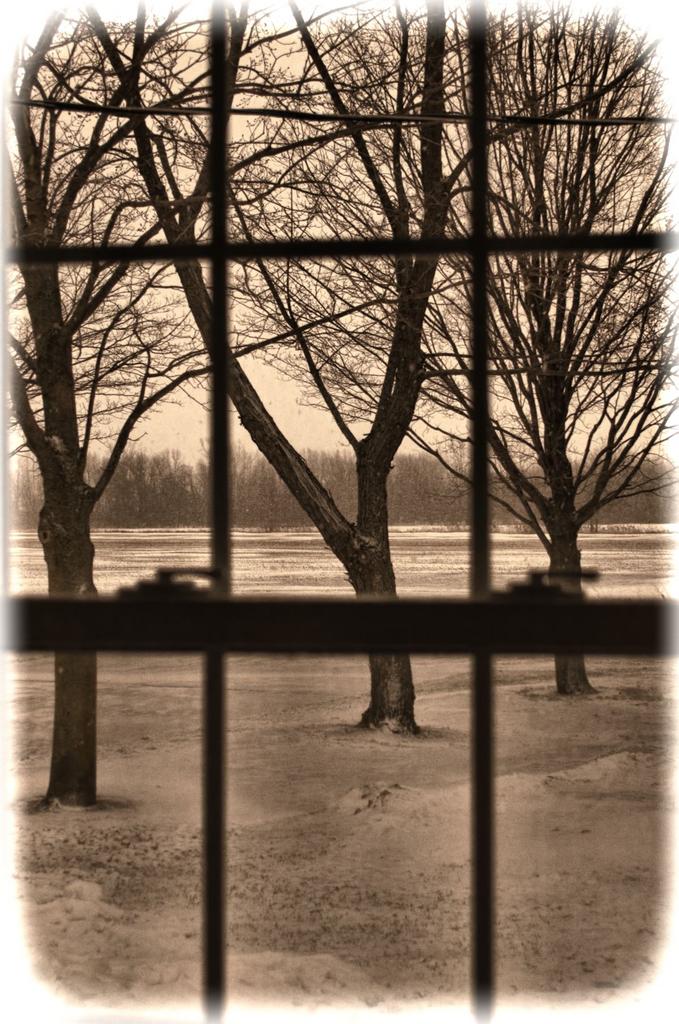 window view.jpg