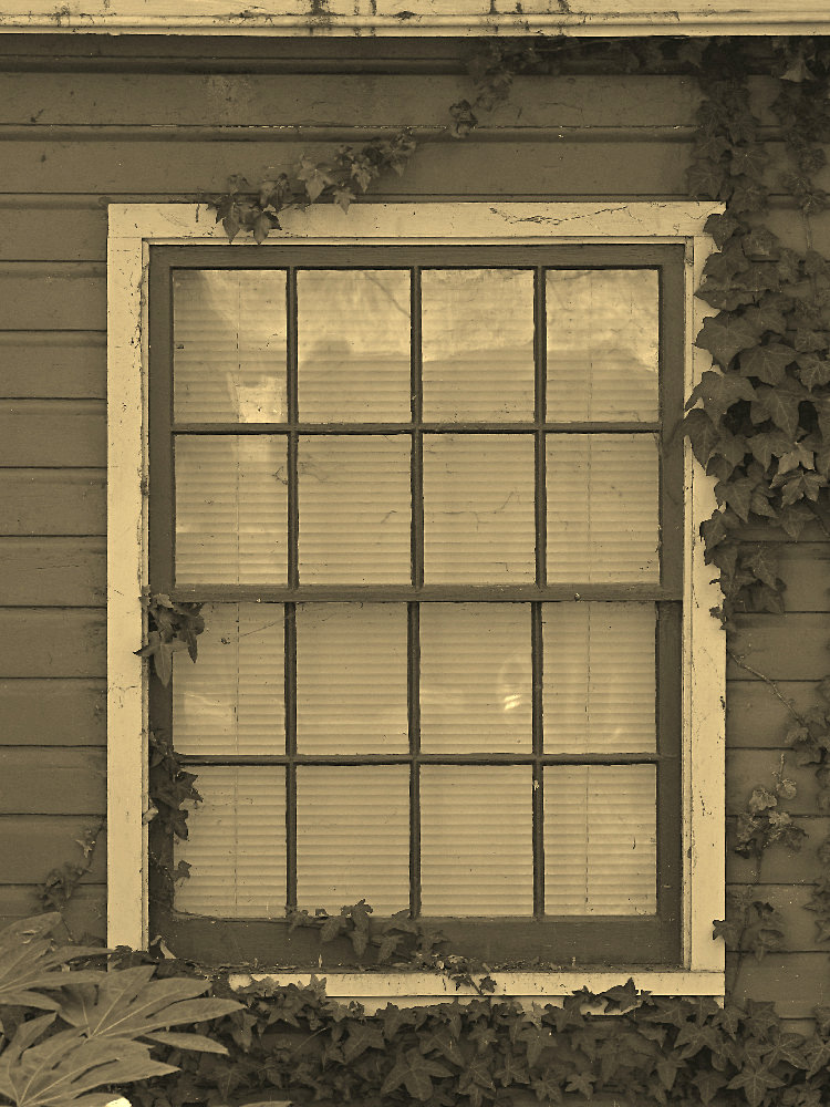 WindowSepia.jpg