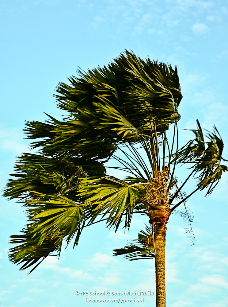 windy-1.jpg