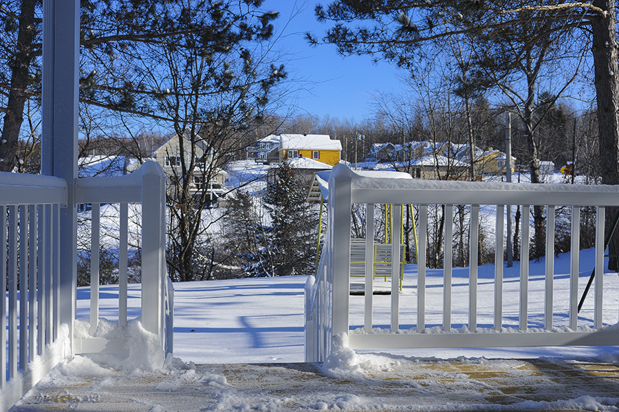 Winter afternoon.jpg