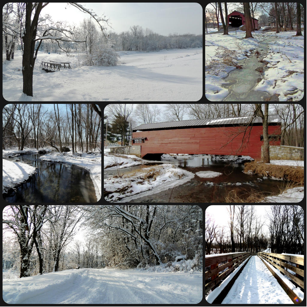 winter collage.jpg