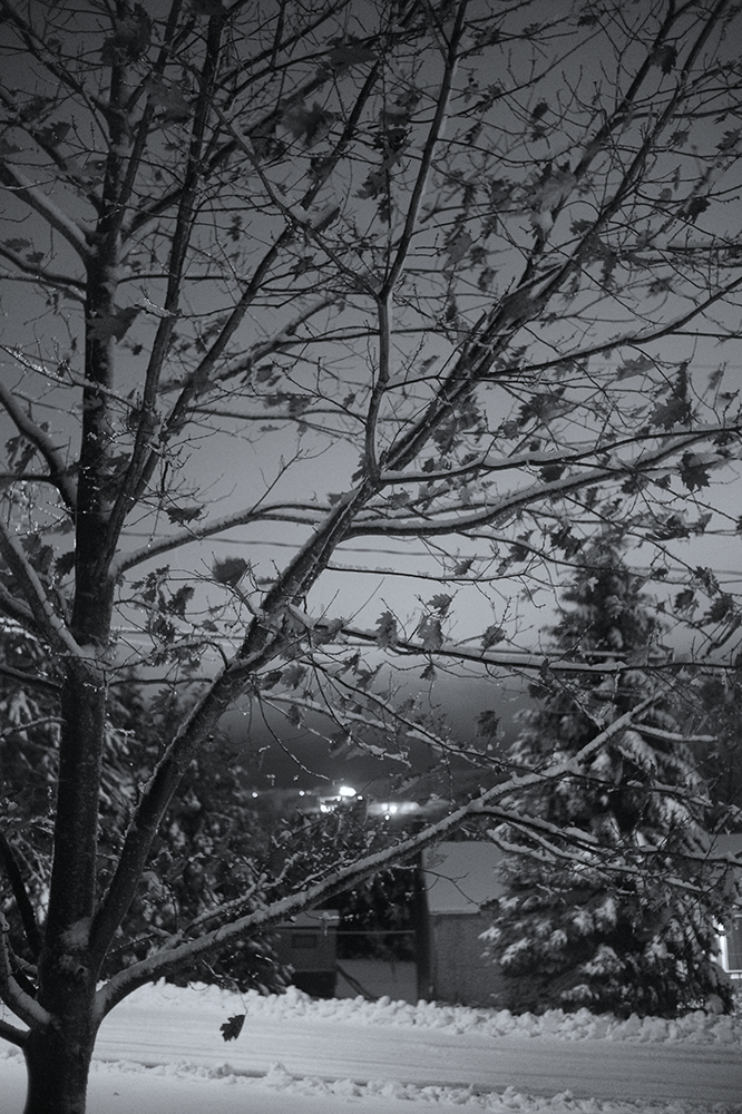 winter night iso 8000.jpg