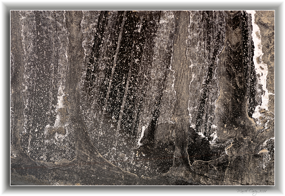 winter remnants 1.jpg