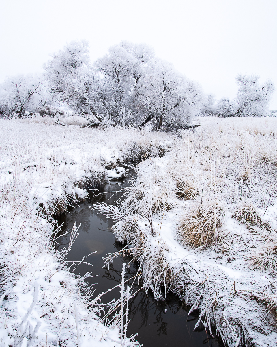 Winterscape-4.jpg