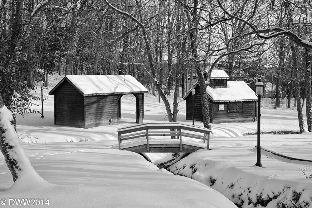 Wintery Park B&W.jpg