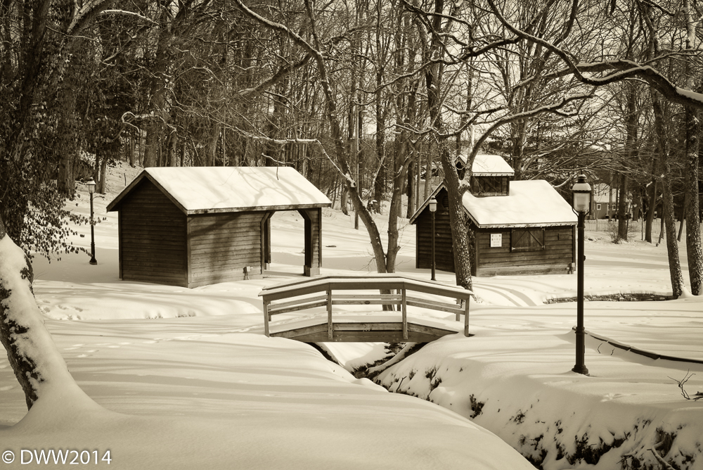 Wintery Park for Weebee.jpg