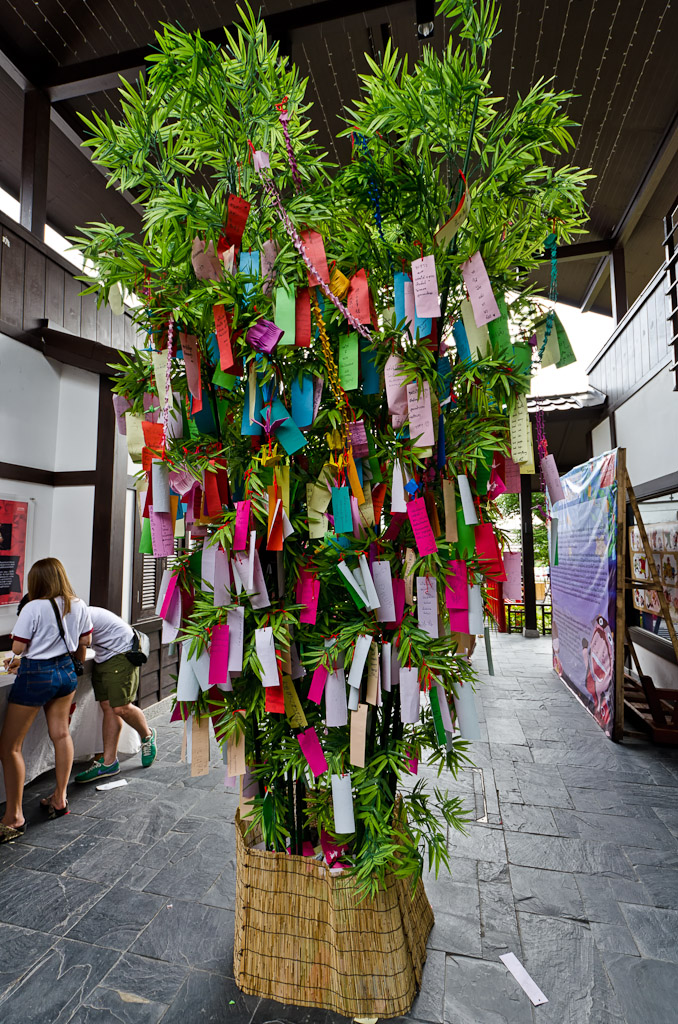 wish-1.jpg