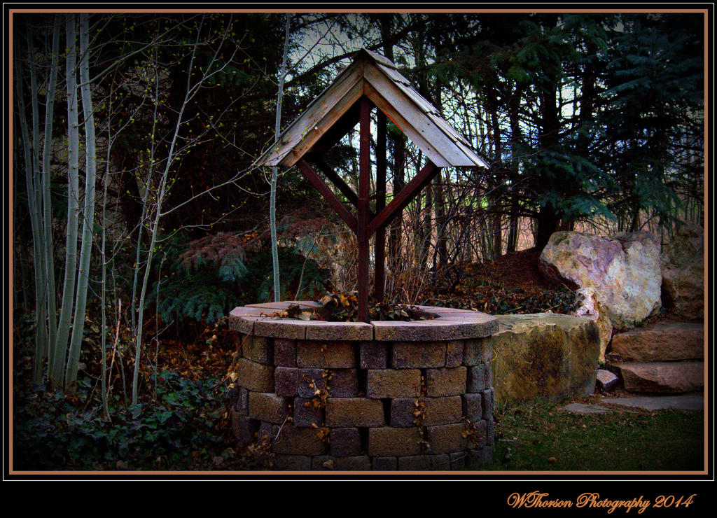 Wishing Well.jpg