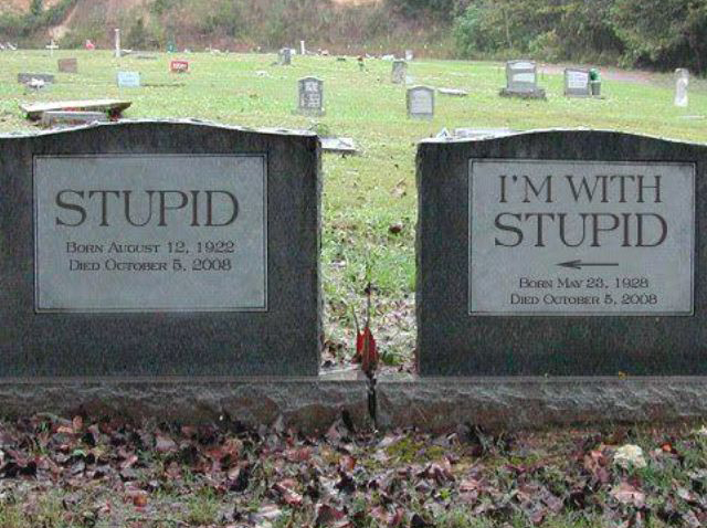 with stupid.jpg