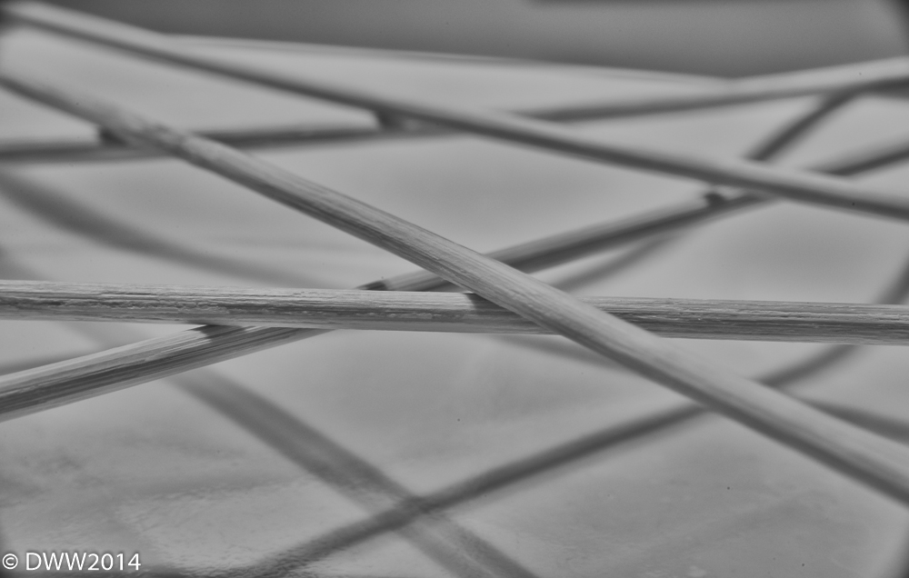 Wood Abstract 3 (1 of 1).jpg