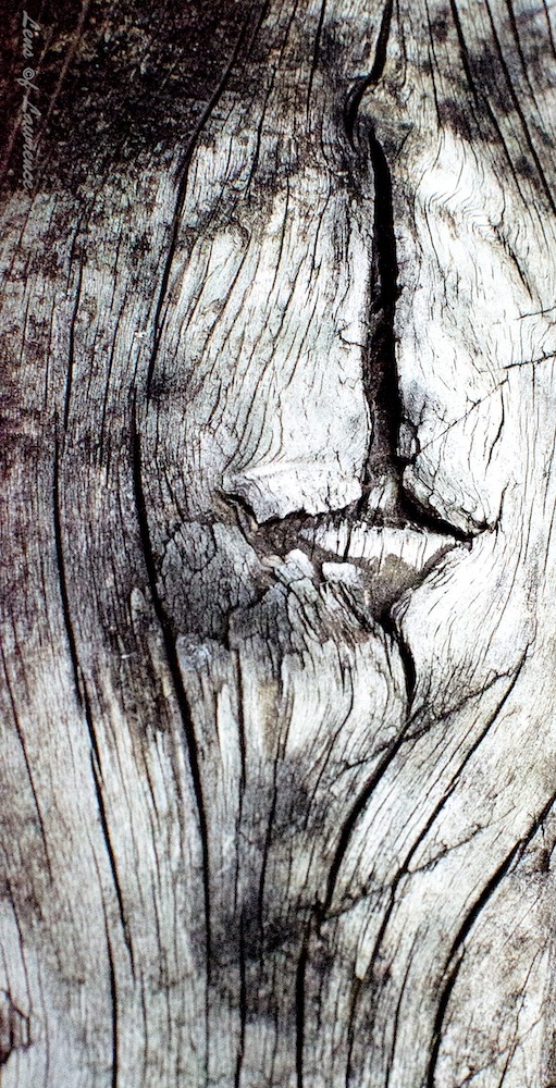 Wood Grain.jpg