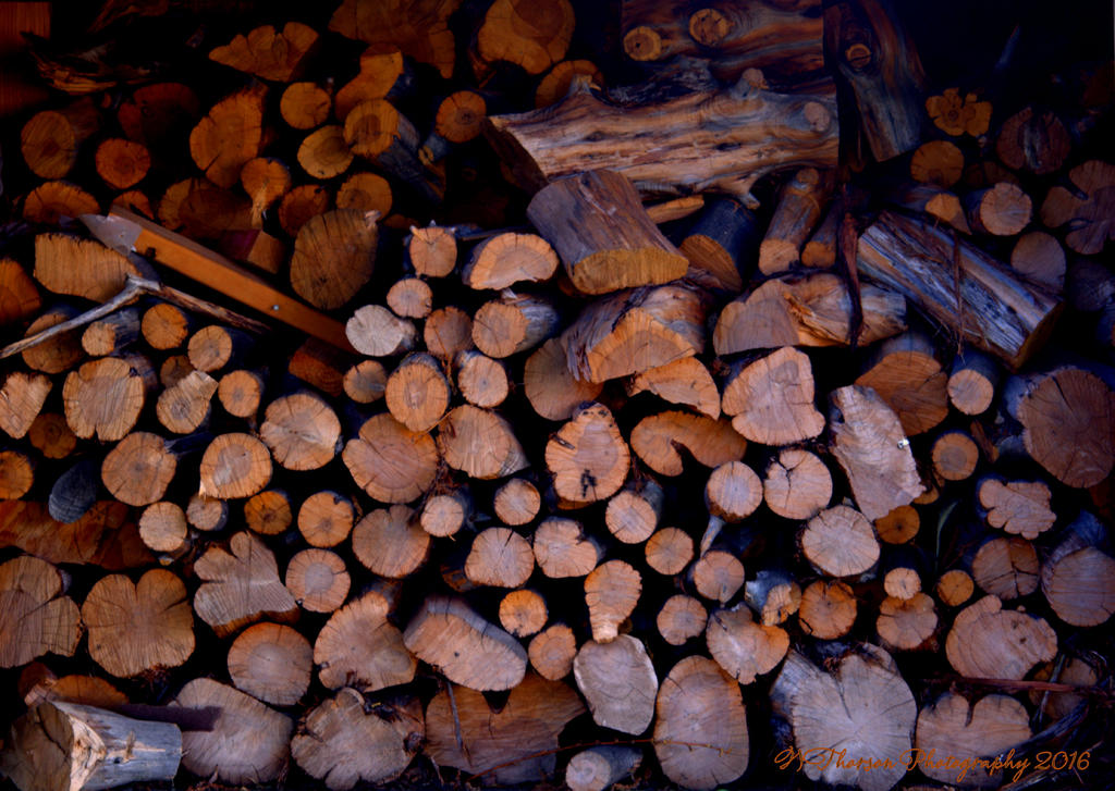 Wood Pile 7-21-2016.jpg