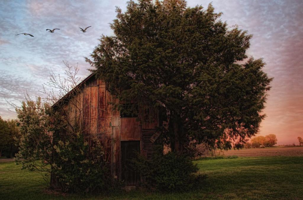 wood shed1200.jpg