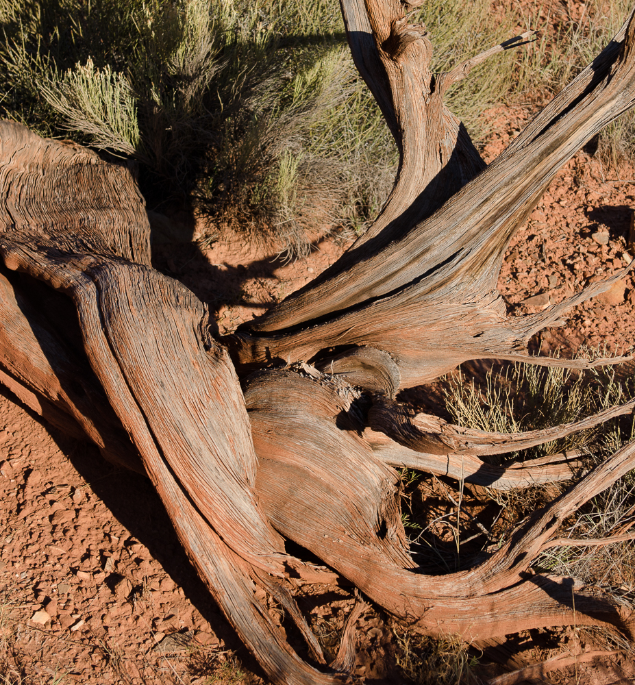 Wood Spirit