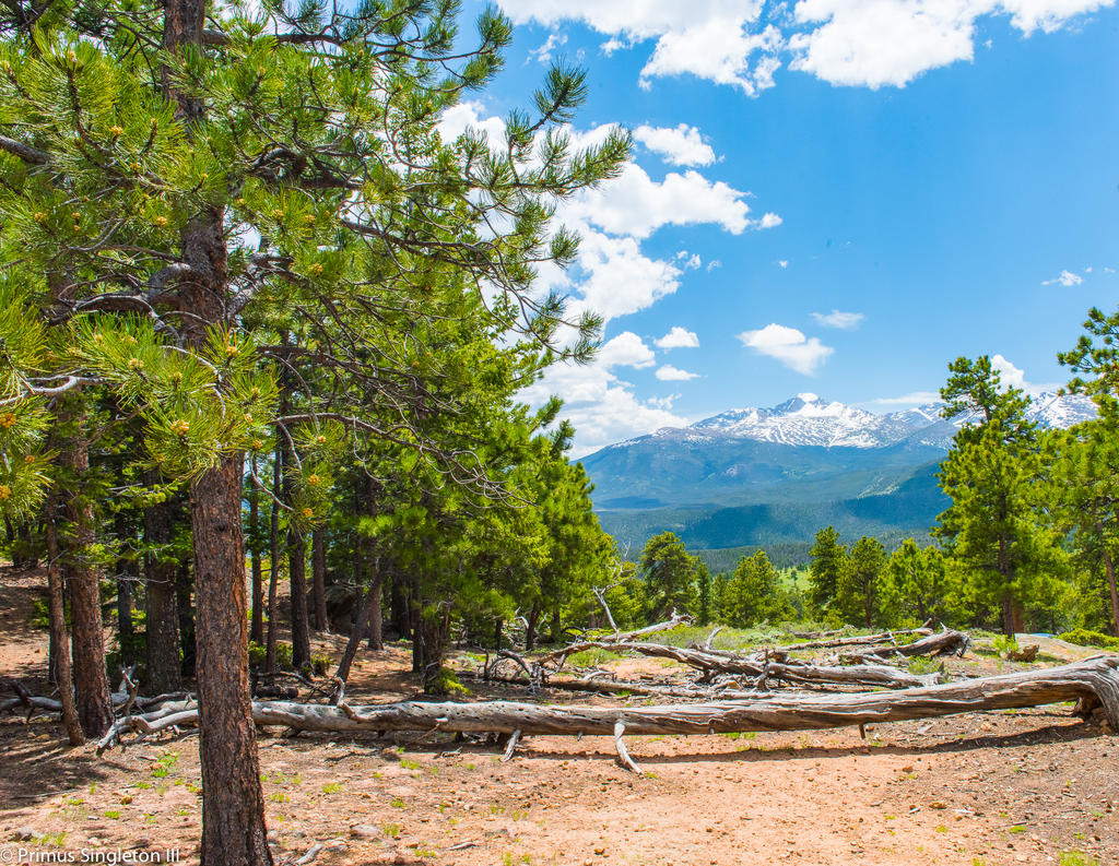 Woodland n Peaks.jpg