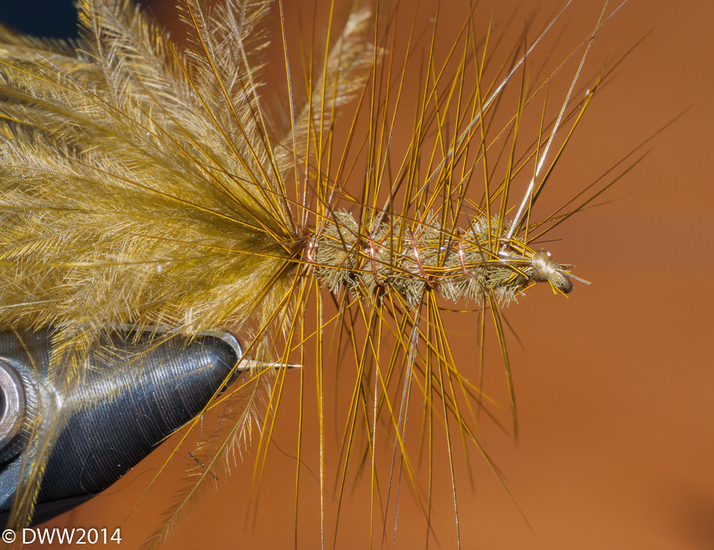 Wooly Bugger 2 (1 of 1).jpg