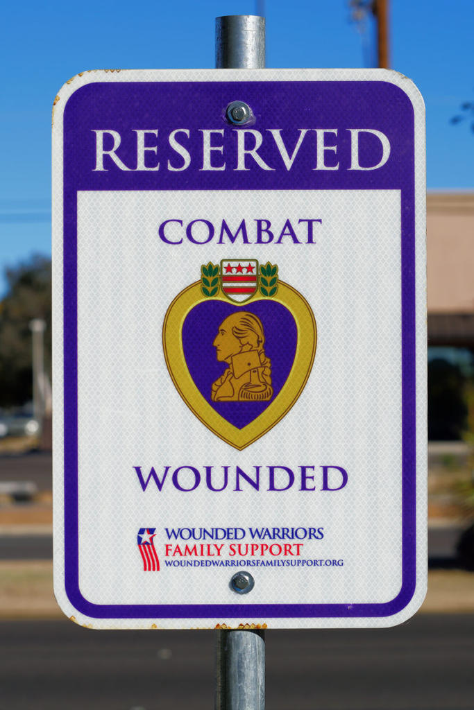 WoundedWar-sc.jpg