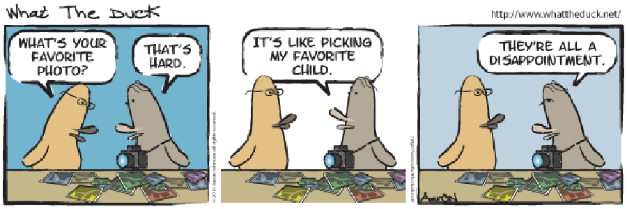 WTD1169.gif