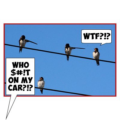 wtf.png