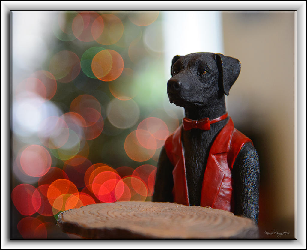 X-mas dog.jpg