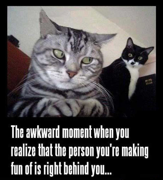 x5kg7ahgq949wrcnxjdz.jpg