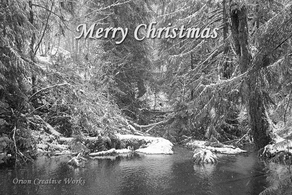 xmas 4x6a.jpg