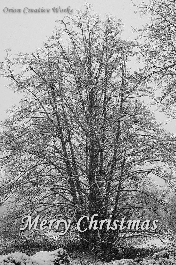 xmas 4x6c.jpg xmas 4x6c.jpg