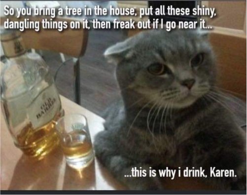 xmas drinking majorgeeks.jpg