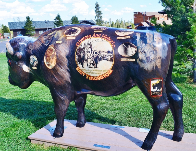 CITY BUFFALO - WEST YELLOWSTONE, MT  BUFFALO