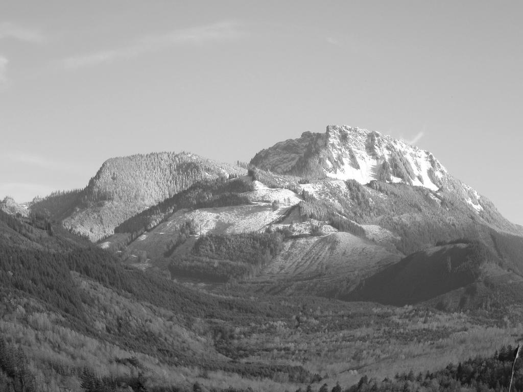 y_IMG_0017.jpg