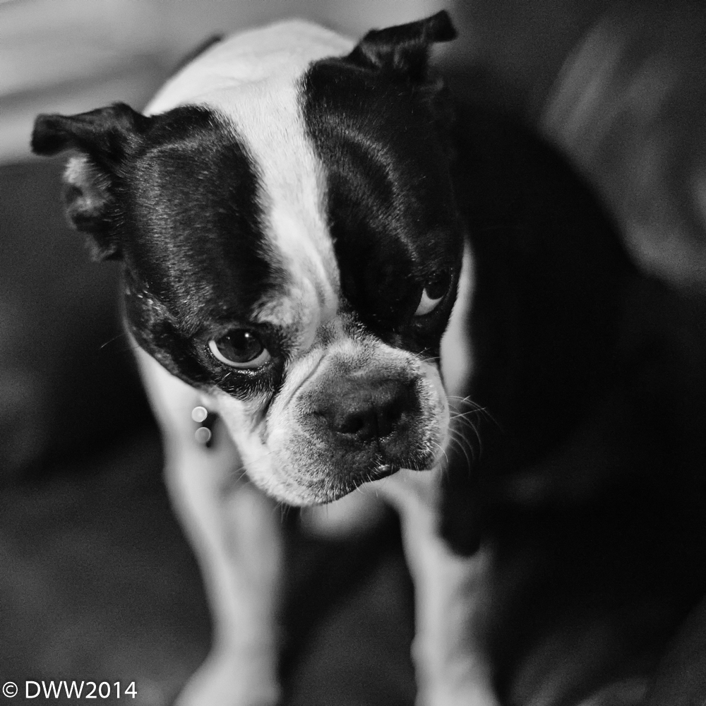 Yara B&W Challenge (1 of 1).jpg