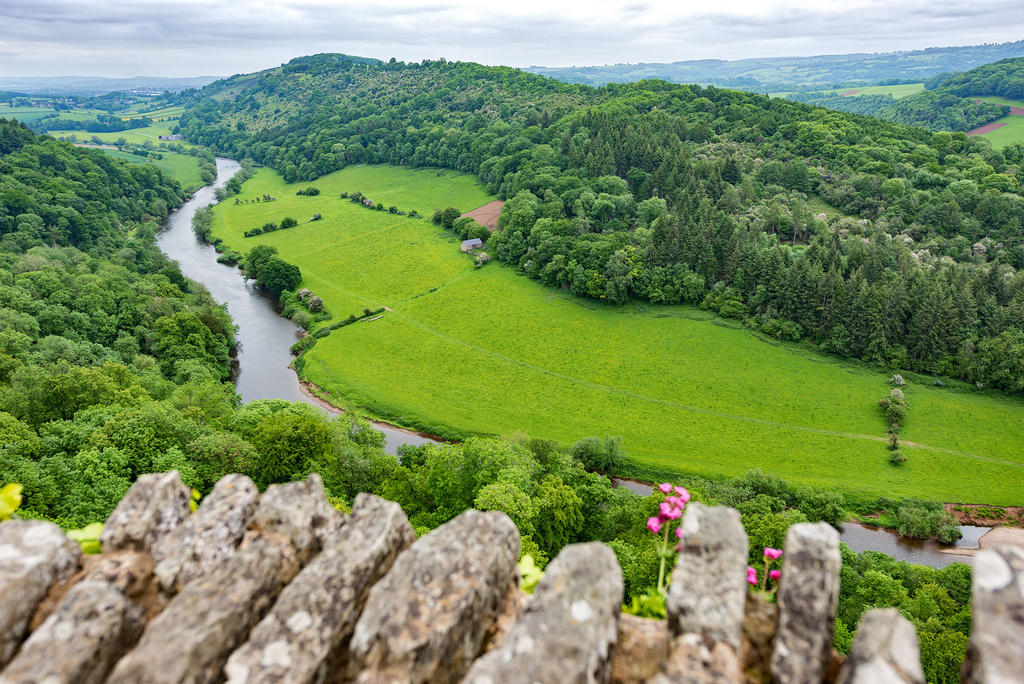Yat-Rock-5.jpg