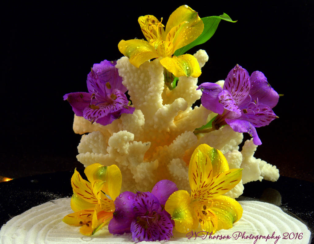 Yellow and Purple Flowers with Coral 11-3-2016.jpg